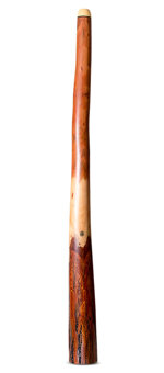 Wix Stix Didgeridoo (WS404)